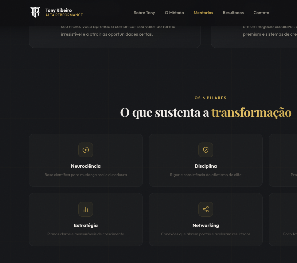 Tony Ribeiro — detalhe 3 do projeto desenvolvido pela ZyoryAI